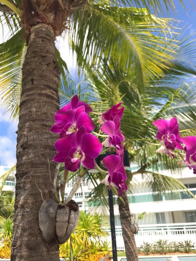 In Mare Bali Residencial Resort Pium de Cima Ngoại thất bức ảnh